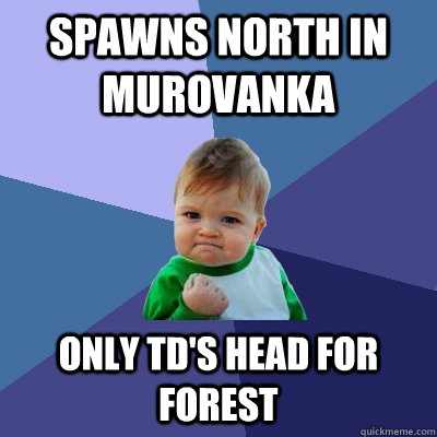 spawns north in murovanka only td's head for forest  Success Kid