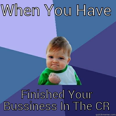 Finished My Bussiness - WHEN YOU HAVE  FINISHED YOUR BUSSINESS IN THE CR Success Kid