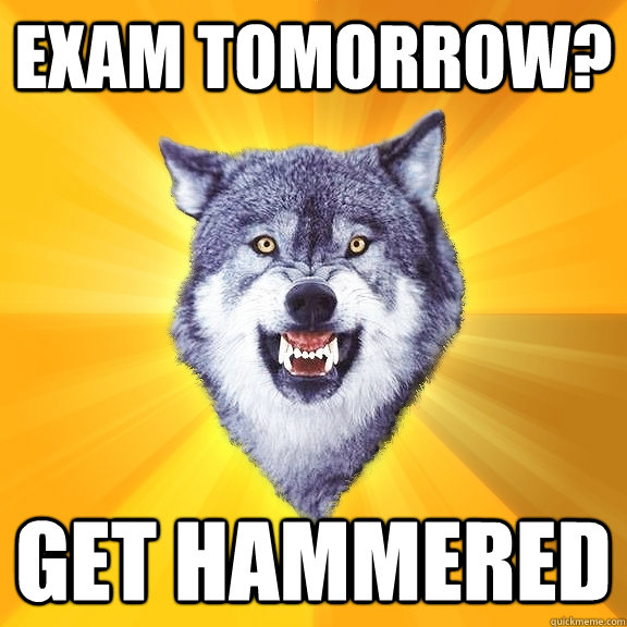 Exam Tomorrow? Get Hammered - Exam Tomorrow? Get Hammered  Courage Wolf