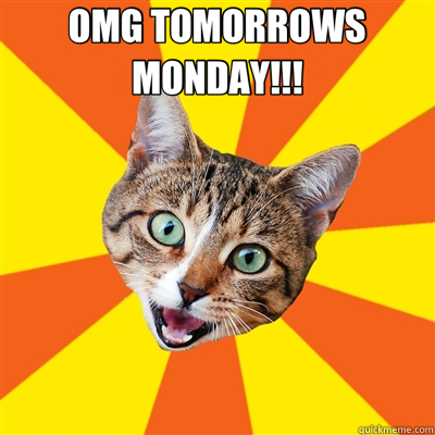 OMG TOMORROWS MONDAY!!!   Bad Advice Cat