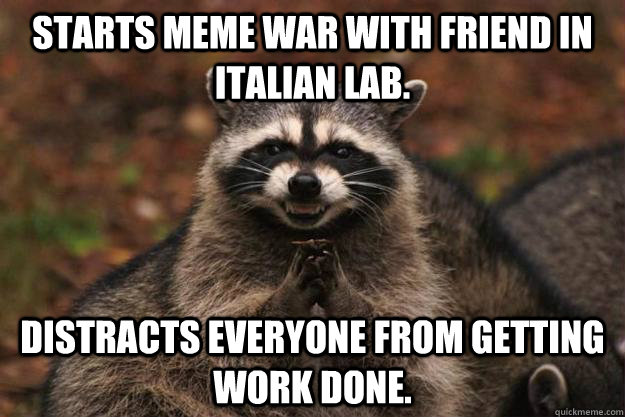 Starts meme war with friend in italian lab. Distracts everyone from getting work done.   Evil Plotting Raccoon