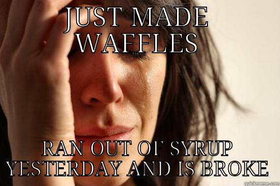 JUST MADE WAFFLES RAN OUT OF SYRUP YESTERDAY AND IS BROKE First World Problems