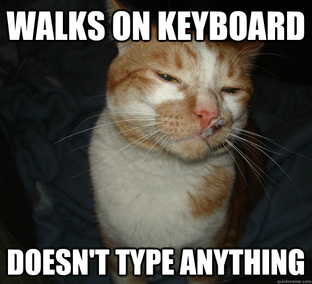 Walks on keyboard Doesn't type anything - Walks on keyboard Doesn't type anything  Misc