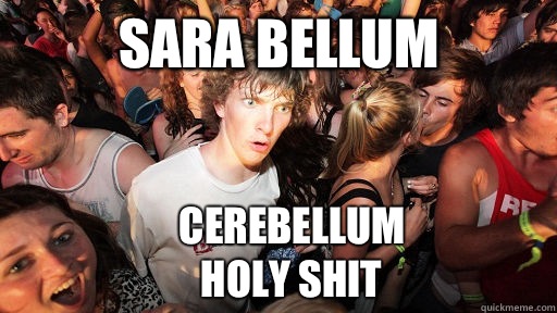 Sara Bellum Cerebellum
Holy shit - Sara Bellum Cerebellum
Holy shit  Sudden Clarity Clarence