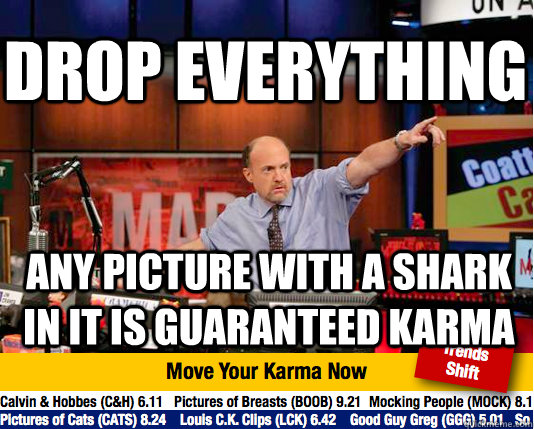 Drop everything any picture with a shark in it is guaranteed karma - Drop everything any picture with a shark in it is guaranteed karma  Mad Karma with Jim Cramer