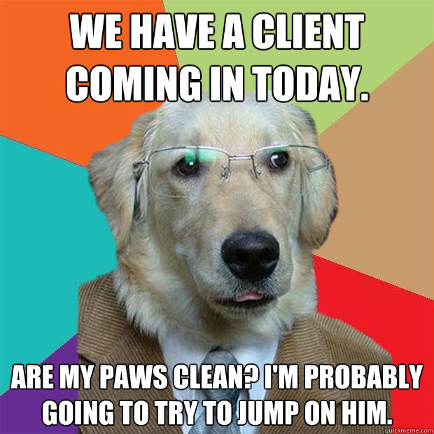 We have a client coming in today. are my paws clean? I'm probably going to try to jump on him.  Business Dog