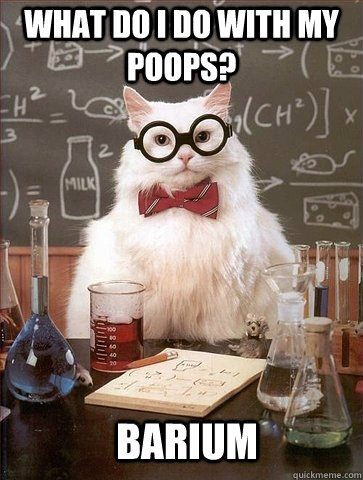 what do i do with my poops?  barium  Chemistry Cat