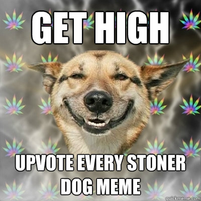 Get high upvote every stoner dog meme  Stoner Dog