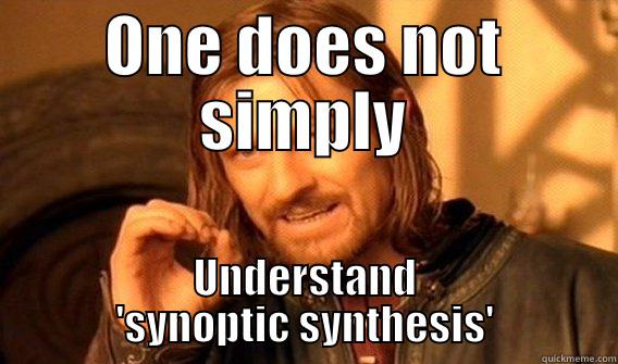 ONE DOES NOT SIMPLY UNDERSTAND 'SYNOPTIC SYNTHESIS' One Does Not Simply