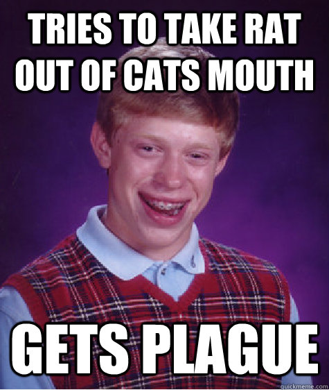 Tries to take rat out of cats mouth gets plague - Tries to take rat out of cats mouth gets plague  Bad Luck Brian