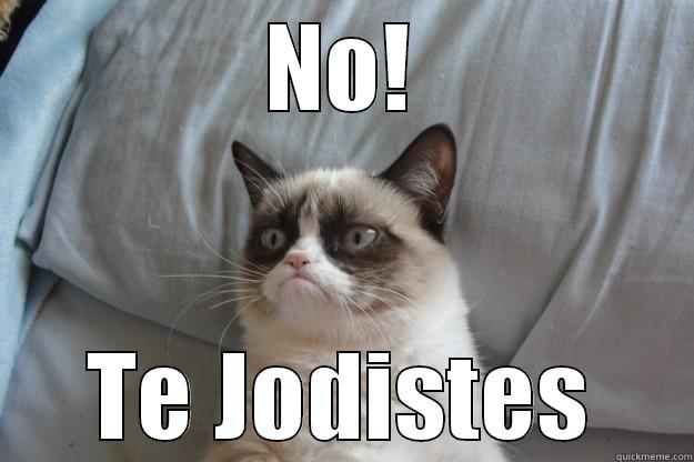 NO! TE JODISTES Grumpy Cat