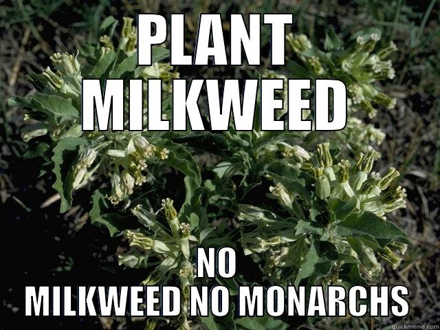 PLANT MILKWEED - PLANT MILKWEED NO MILKWEED NO MONARCHS Scumbag america