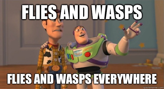 Flies and wasps Flies and wasps everywhere  Toy Story Everywhere