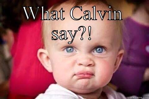 WHAT CALVIN SAY?!  Misc