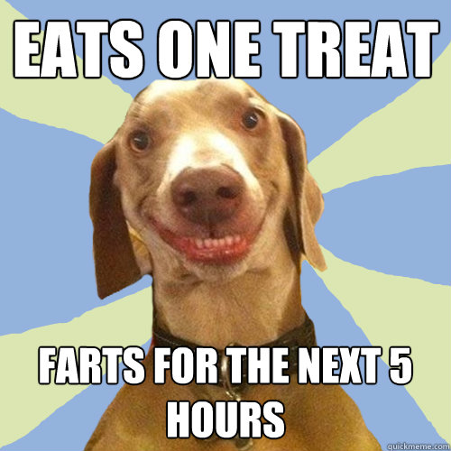 eats one treat farts for the next 5 hours  Disgusting Doggy