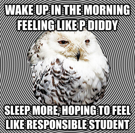 Wake up in the morning feeling like P diddy sleep more, hoping to feel like responsible student - Wake up in the morning feeling like P diddy sleep more, hoping to feel like responsible student  Slightly Studious Owl