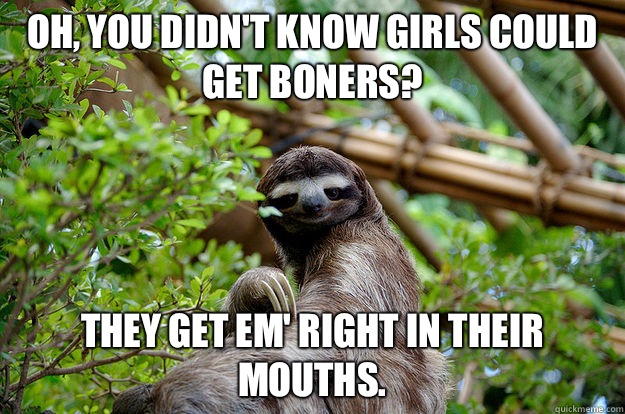 Seductive Sloth Memes Quickmeme