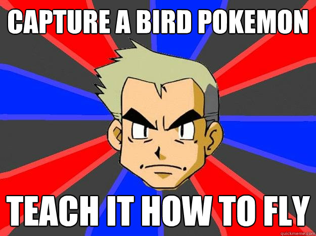 Capture a bird pokemon Teach it how to fly  Professor Oak