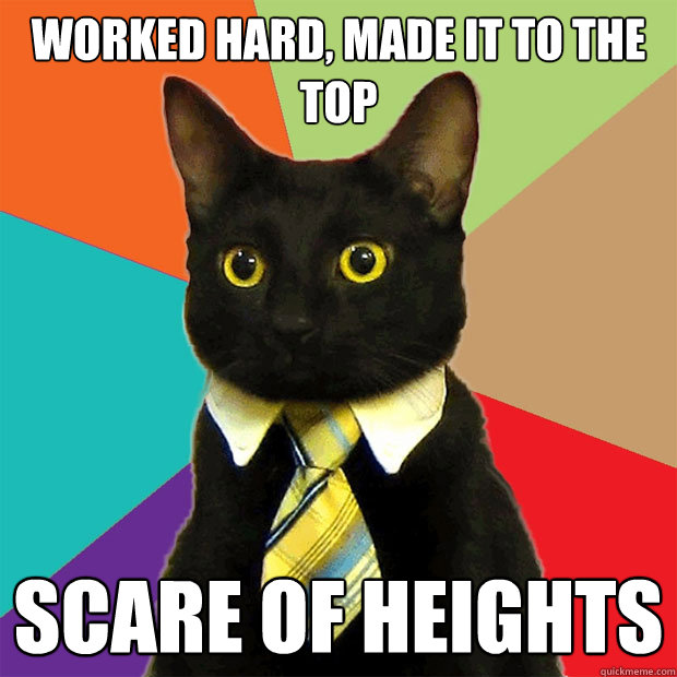 worked hard, made it to the top Scare of Heights  Business Cat