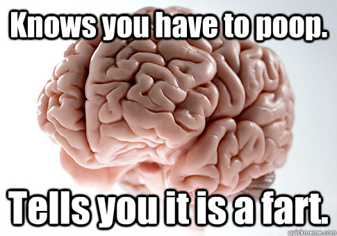 Knows you have to poop. Tells you it is a fart.   Scumbag Brain