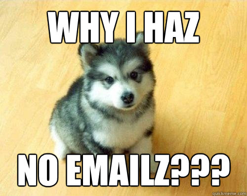 why i haz no emailz???  Baby Courage Wolf