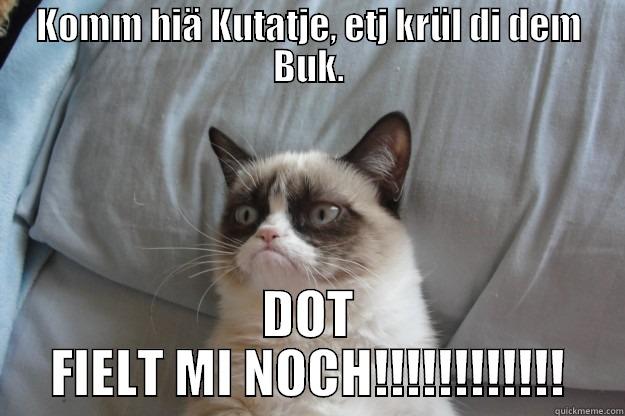 KOMM HIÄ KUTATJE, ETJ KRÜL DI DEM BUK. DOT FIELT MI NOCH!!!!!!!!!!!! Grumpy Cat