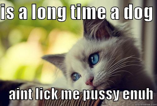 lol omg - IS A LONG TIME A DOG      AINT LICK ME PUSSY ENUH First World Problems Cat