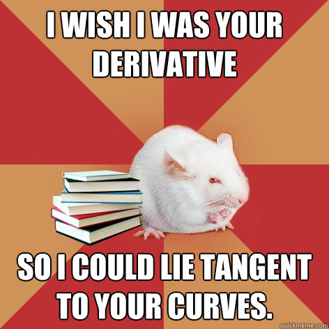 I wish I was your derivative So I could lie tangent to your curves.  Science Major Mouse