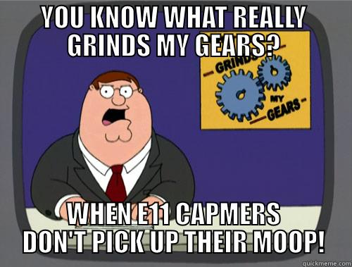 YOU KNOW WHAT REALLY GRINDS MY GEARS? WHEN E11 CAPMERS DON'T PICK UP THEIR MOOP! Grinds my gears