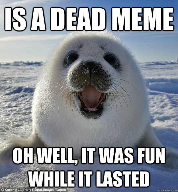 is a dead meme oh well, it was fun while it lasted - is a dead meme oh well, it was fun while it lasted  Easily Pleased Seal