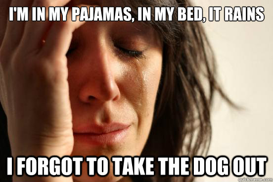 I'm in my pajamas, in my bed, it rains

 I forgot to take the dog out - I'm in my pajamas, in my bed, it rains

 I forgot to take the dog out  First World Problems