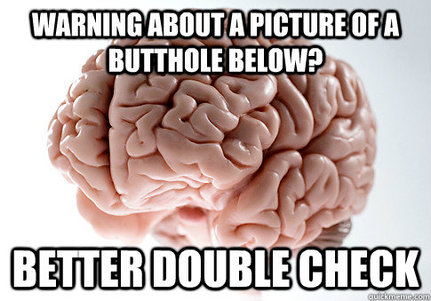 warning about a picture of a butthole below? better double check  Scumbag Brain