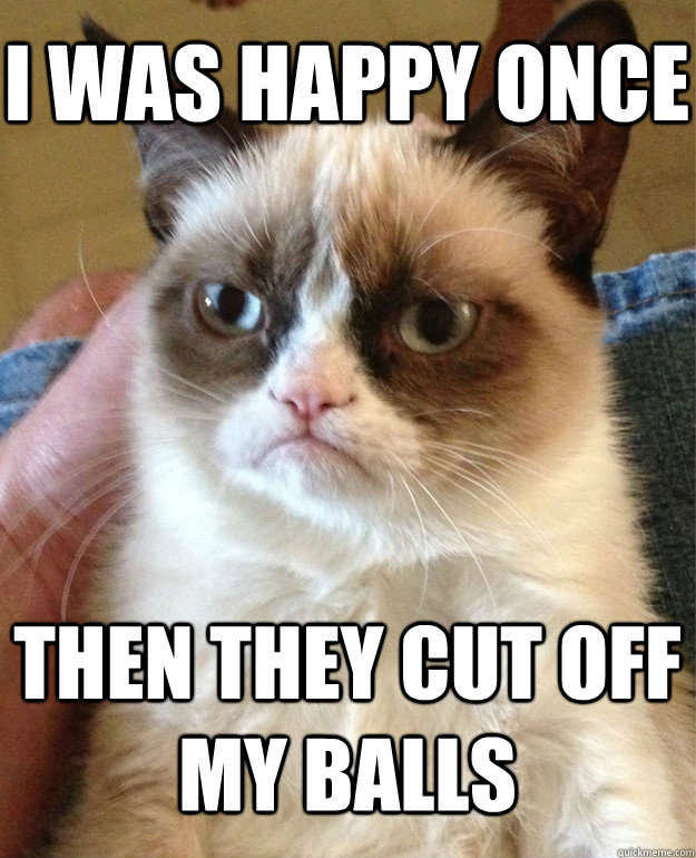 I was happy once then they cut off my balls  Grumpy Cat