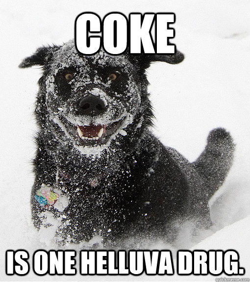 COKE is one helluva drug.  Coke dog