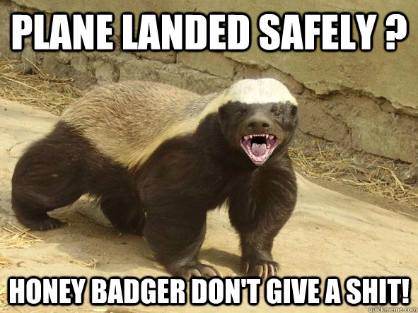 plane landed safely ? Honey badger don't give a shit!  