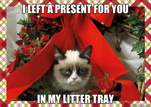 I left a present for you in my litter tray  A Grumpy Cat Christmas