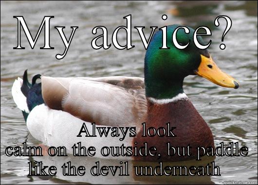 Duck advice - MY ADVICE? ALWAYS LOOK CALM ON THE OUTSIDE, BUT PADDLE LIKE THE DEVIL UNDERNEATH  Actual Advice Mallard