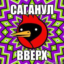 саганул вверх  