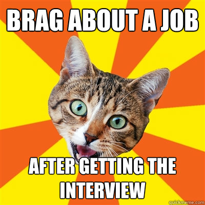 BRAG ABOUT A JOB AFTER GETTING THE INTERVIEW  Bad Advice Cat