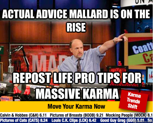 Actual Advice Mallard Is on the rise Repost Life Pro Tips for massive karma  Mad Karma with Jim Cramer