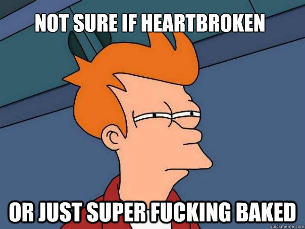 Not sure if heartbroken Or just super fucking baked  Futurama Fry