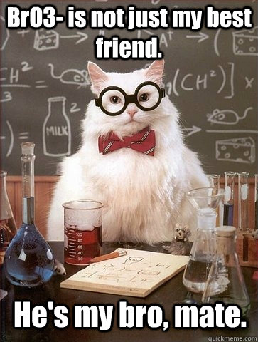 BrO3- is not just my best friend. He's my bro, mate.  Chemistry Cat