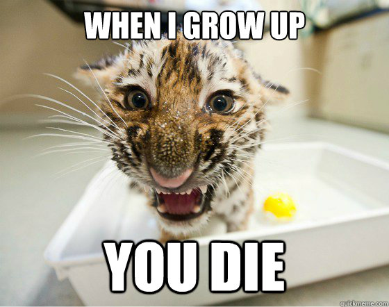 When I grow up you die  Vengeful Tiger