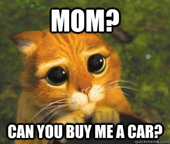 MOM? Can you buy me a car?  Puss in boots