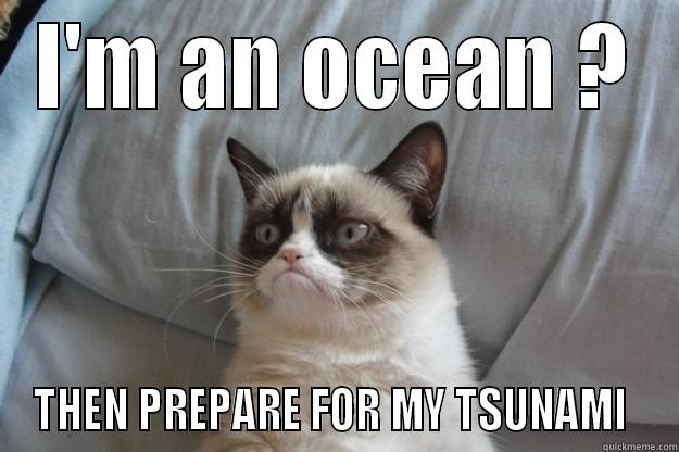 I'M AN OCEAN ? THEN PREPARE FOR MY TSUNAMI  Grumpy Cat