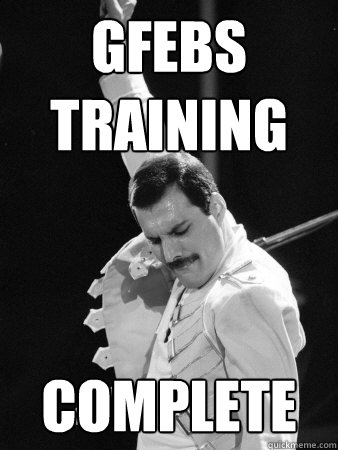 GFEBS training complete  Freddie Mercury