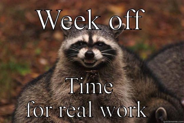 WEEK OFF TIME FOR REAL WORK  Evil Plotting Raccoon