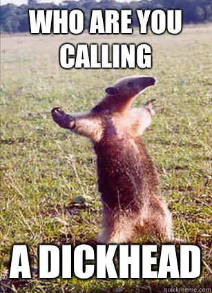 Who are you calling A Dickhead  Defiace Anteater