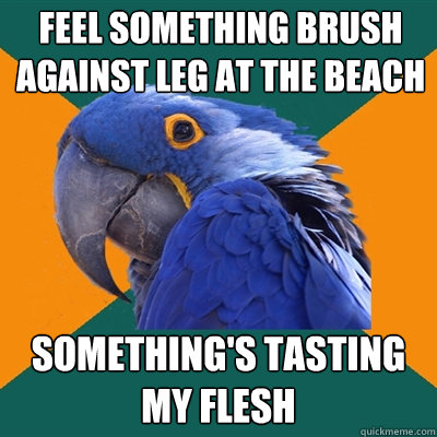 feel something brush against leg at the beach something's tasting my flesh  Paranoid Parrot