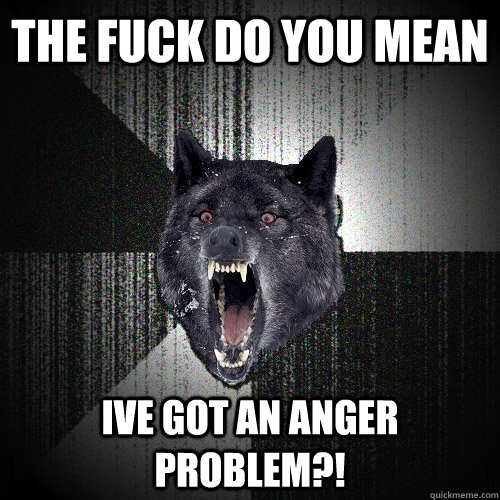 THE FUCK DO YOU MEAN IVE GOT AN ANGER PROBLEM?!  Insanity Wolf